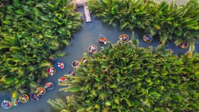 Bay Mau Coconut Forest: An Ideal Place for Nature Lovers 14 Bay Mau Coconut Forest