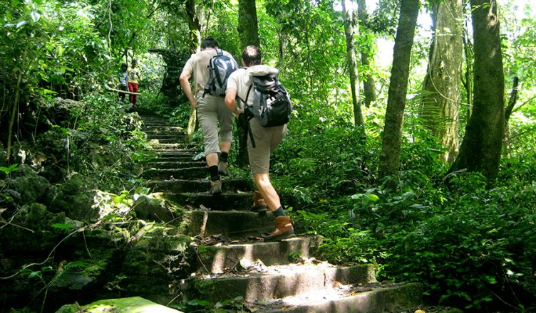 Cuc Phuong National Park Tour 1 Cuc Phuong National Park Tour