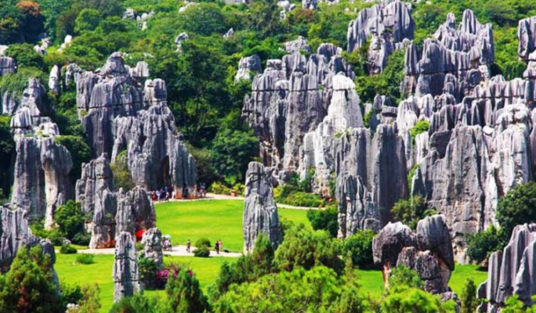 Ham Rong Mountain: A Stunning Spot in the Clouds in Sapa 1 Ham Rong Mountain