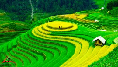 Lao Chai Village: An Facebook-worthy Spot in Sapa 23 Lao Chai Village