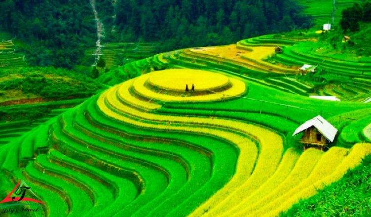 Lao Chai Village: An Facebook-worthy Spot in Sapa 1 Lao Chai Village