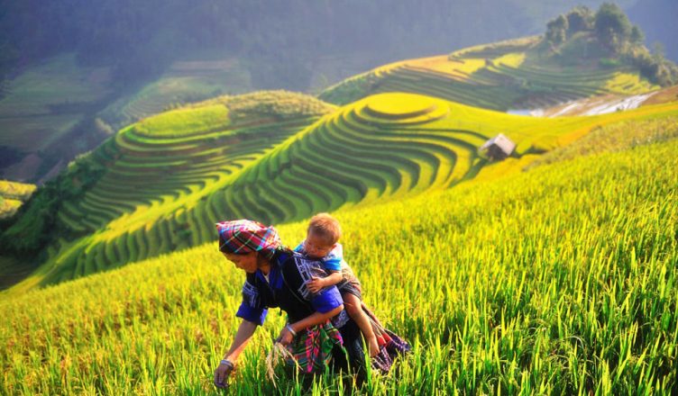 Mu Cang Chai Tour 3 Days 1 Mu Cang Chai Tour