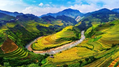 Muong Hoa Valley: The Hidden Heaven on Earth in Sapa 17 Muong Hoa Valley