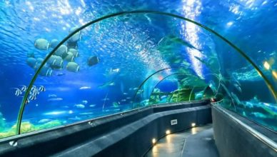 Nha Trang Oceanography Institute: Paradise of Oceanic World 21 Nha Trang Oceanography Institute