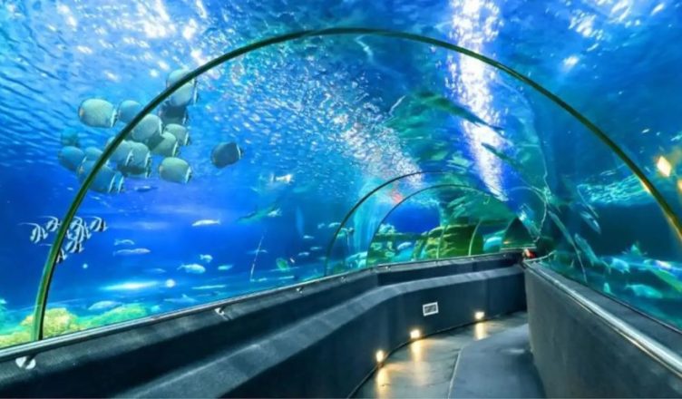 Nha Trang Oceanography Institute: Paradise of Oceanic World 1 Nha Trang Oceanography Institute