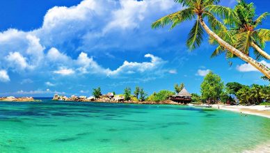Phu Quoc Travel Guide for First-Time Travelers 86 Phu Quoc Vietnam