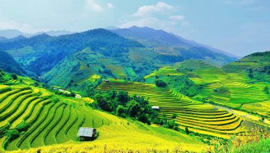 Sapa Travel Guide for First-Time Travelers 120 Sapa Vietnam