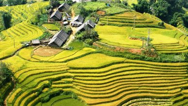 Ta Van Village: A Hidden Gem of Sapa 20 Ta Van Village