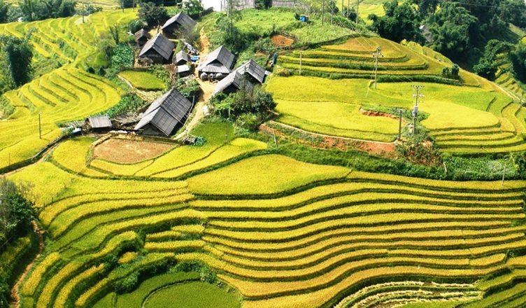 Ta Van Village: A Hidden Gem of Sapa 1 Ta Van Village