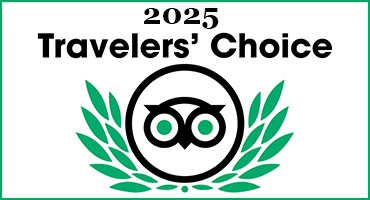 TripAdvisor Vietnam Shore Excursions