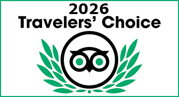TripAdvisor Vietnam Shore Excursions