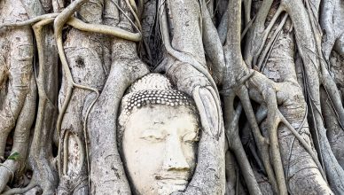 Ayutthaya shore excursion from Laem Chabang port showing Buddha head in tree roots at Wat Mahathat