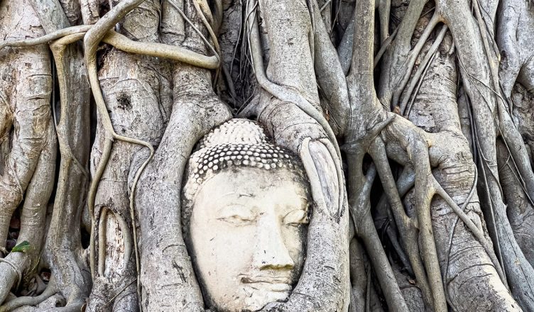 Ayutthaya Ancient Temples Tour: Private Shore Excursion from Laem Chabang Port 1 Ayutthaya shore excursion from Laem Chabang port showing Buddha head in tree roots at Wat Mahathat