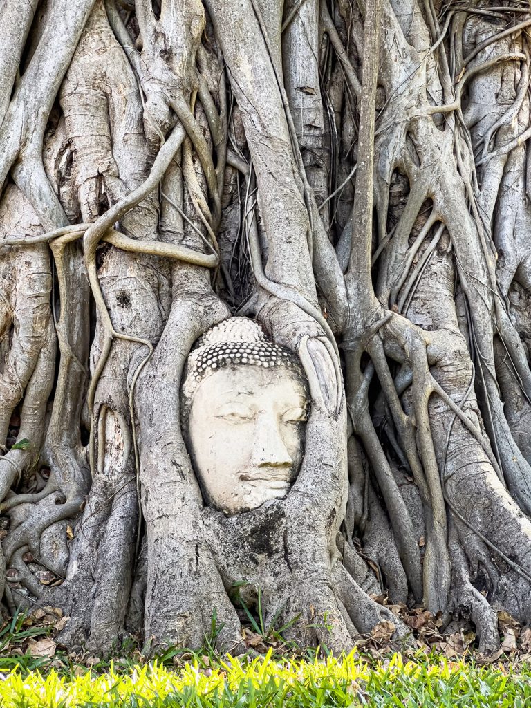 Ayutthaya Ancient Temples Tour: Private Shore Excursion from Laem Chabang Port 2 Ayutthaya shore excursion from Laem Chabang port showing Buddha head in tree roots at Wat Mahathat