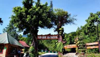 Bach Ma National Park: The Tranquil Paradise in Hue 60 bach ma national park