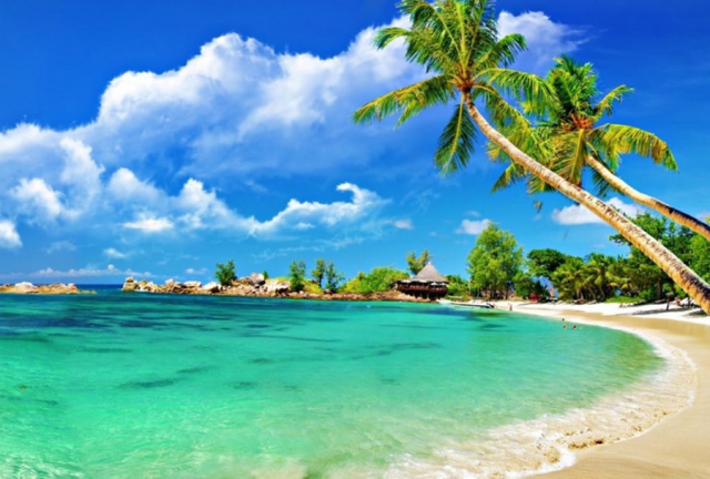 cham island cham island snorkeling tour hoi an
