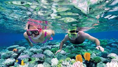 Cham Island Snorkeling Tour: An Unforgettable Day Trip from Da Nang & Hoi An 7 cham island snorkeling tour