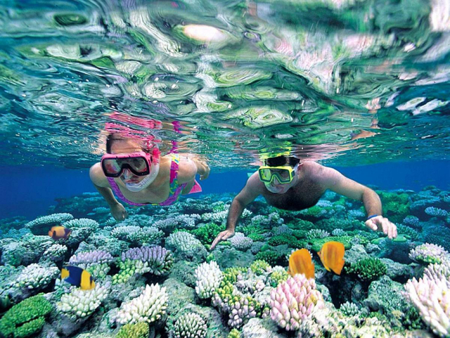 cham island snorkeling tours cham island snorkeling tour from hoi an