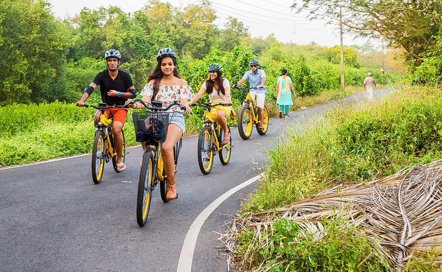 Exploring the heart of rural Vietnam: Pedal through tranquil rice fields on your Hue cycling tour. A group of tourists on a Hue cycling tour, pedaling past vibrant green rice fields.
