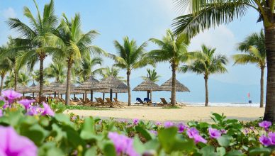 My Khe Beach: The Most Beautiful Beach in Da Nang 46 my khe beach