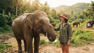 Pattaya Elephant Sanctuary & Cultural Tour: Private Shore Excursion from Laem Chabang Port 4 Tourists interacting and feeding elephants at an ethical sanctuary in Thailand on pattaya elephant sanctuary tour.